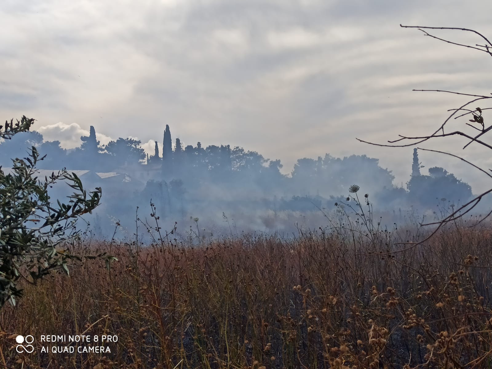 WhatsApp Image 2020-05-22 at 16.47.02