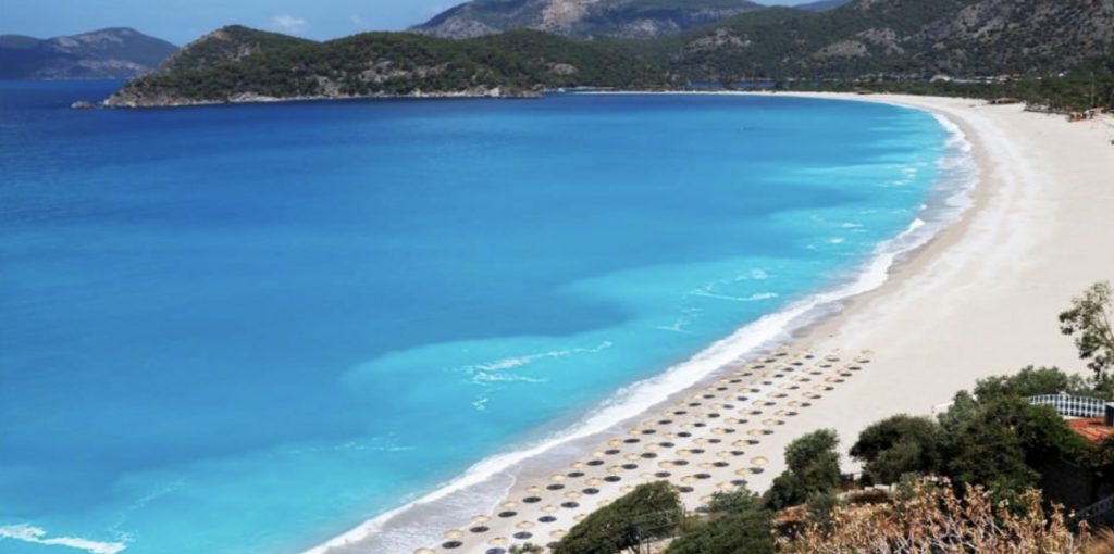 C8F8044E-4083-4B92-8DCE-19C08EF3DA61