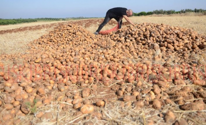 uretici_bu_yil_batti_h93026_678f2