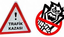 Zeytin ağacına çarparak durabildi