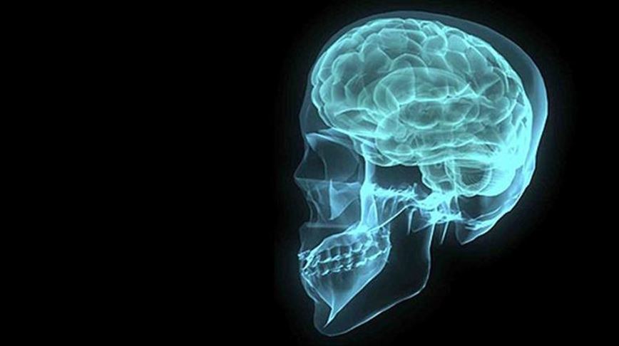 İnsan kafatasında yeni bir organ bulundu
