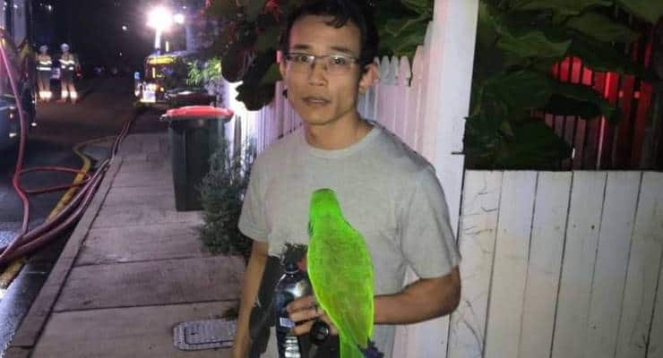 Evinde Çıkan Yangından Papağanı Sayesinde Kurtuldu