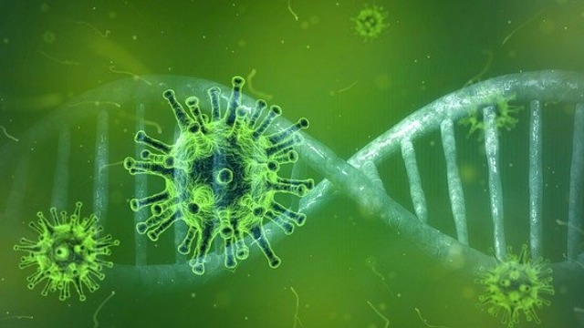 Aşıların yenilenmesi gerekebilir: Güney Afrika mutasyonu antikorlara karşı 8 kat daha dirençli