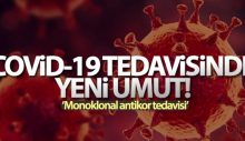 Monoklonal antikor: Covid-19 tedavisinde dönüm noktası olabilir