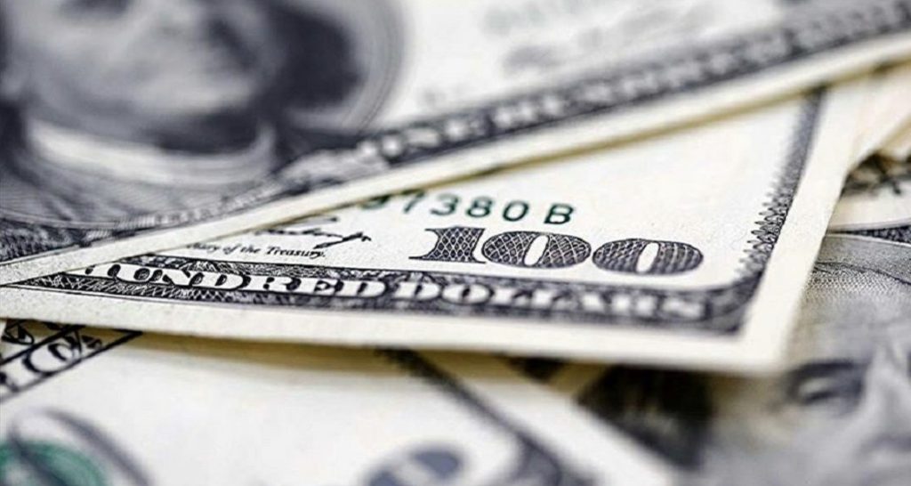 ABD’de bir köpeğe sahibinden 5 milyon dolar miras kaldı