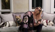 Köpekleri çalınan Lady Gaga, getirene 500 bin dolar ödül vaat etti