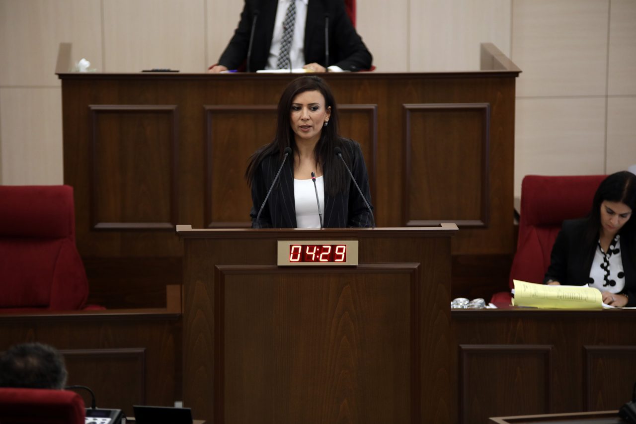 Fazilet Özdenefe 3