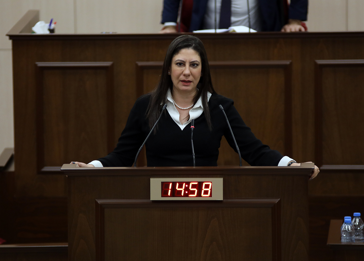 Sıla Usar İncirli 2