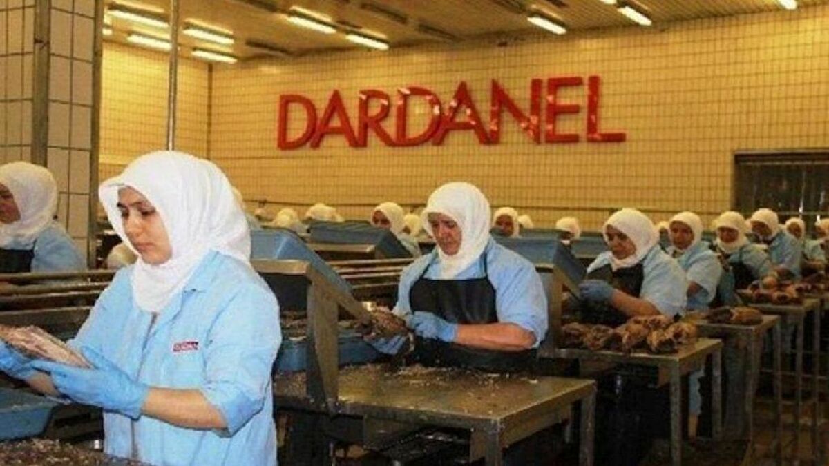Dardanel’in “Elle Paketleme” videosu tepki çekti