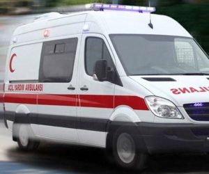 Zeytin toplarken 3 metre yükseklikten düştü