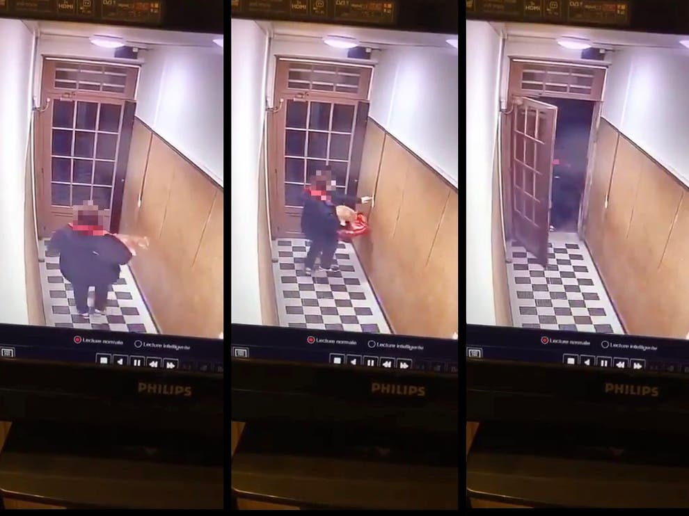 Yemek siparişi götürdüğü apartmandan kedi çaldı: “Restorandaki fareleri kaçırmak için aldım”