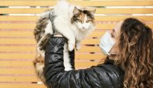 Sahibinden corona bulaşan kedi öldü