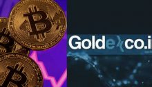 Thodex ve Vebitcoin’in ardından GoldexCoin’e de erişilemiyor