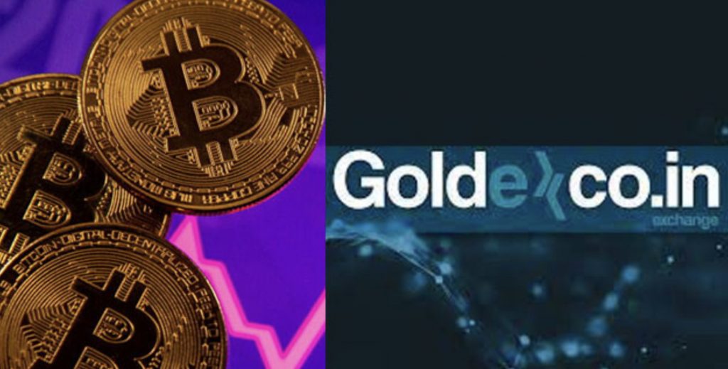 Thodex ve Vebitcoin’in ardından GoldexCoin’e de erişilemiyor