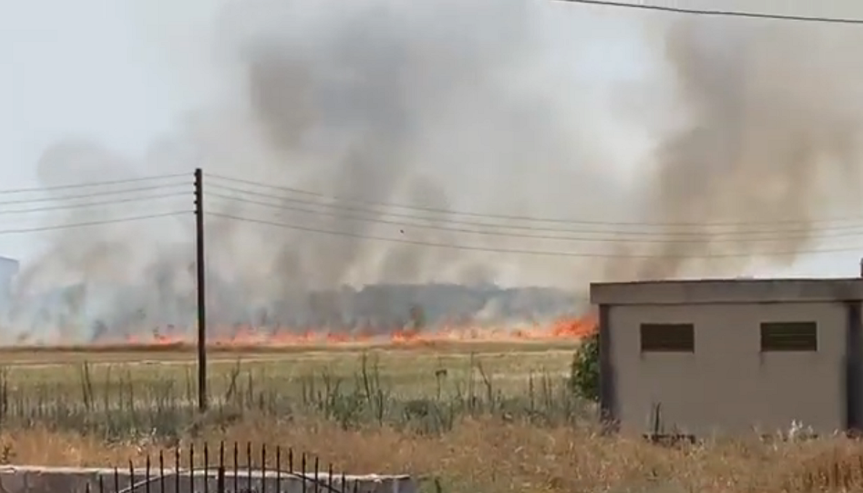 iskele yangın