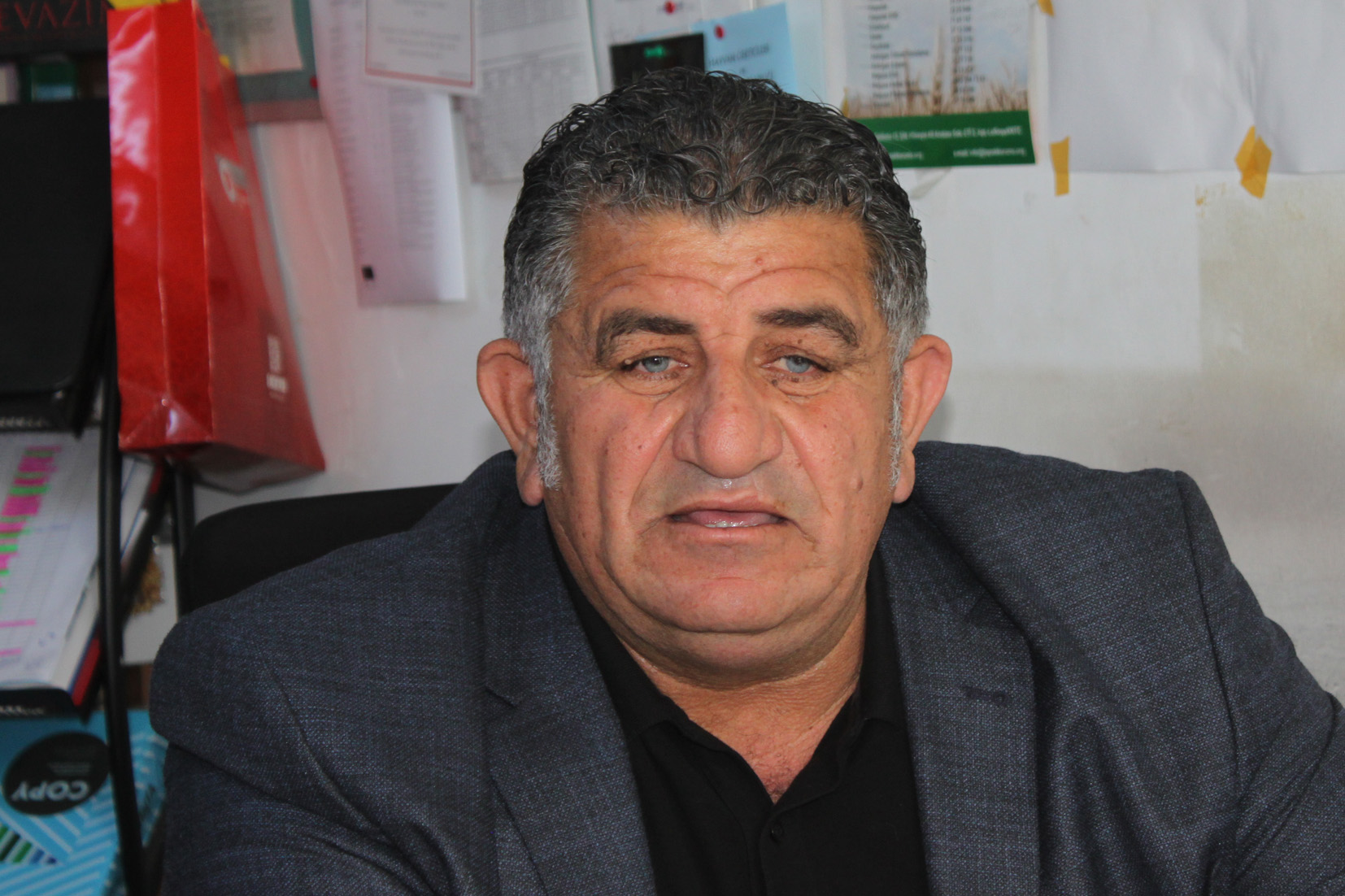 naimoğulları