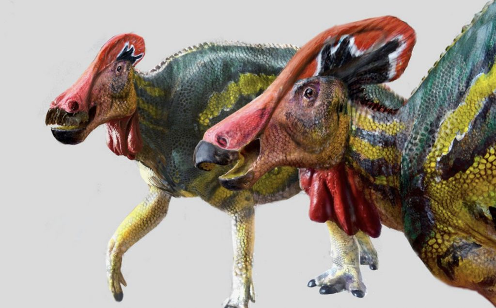 Meksika’da yeni bir dinozor türü bulundu