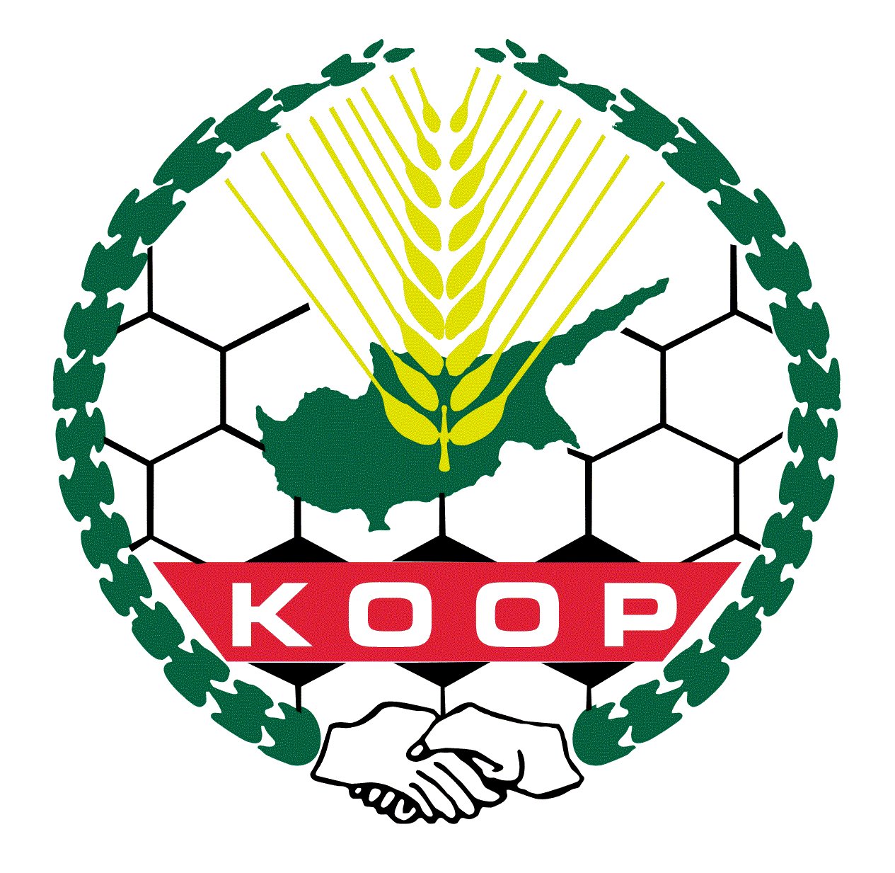 Basketbol Erkekler Süper Lig Şampiyonu Koopspor