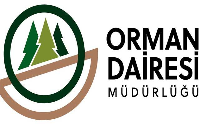 orman dairesi