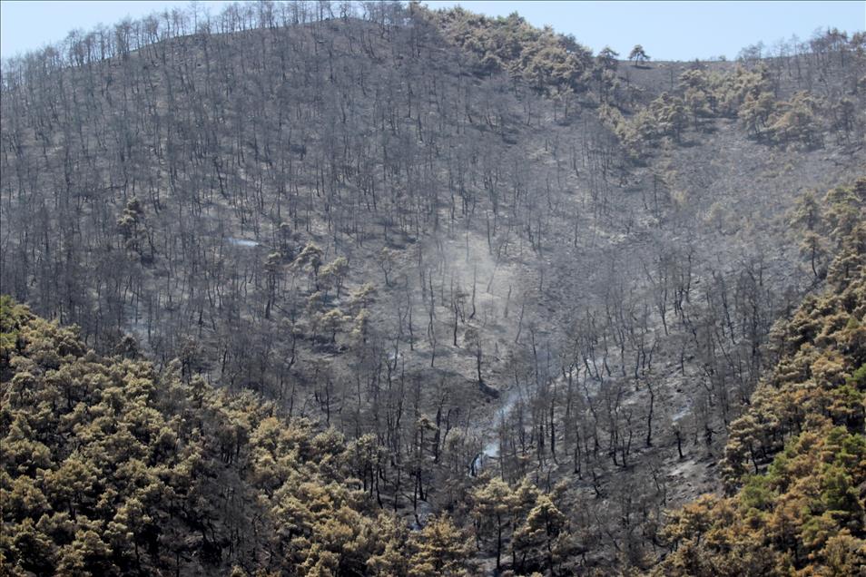 thumbs_b2_d38c537588e99a1105acafb0848c7eac