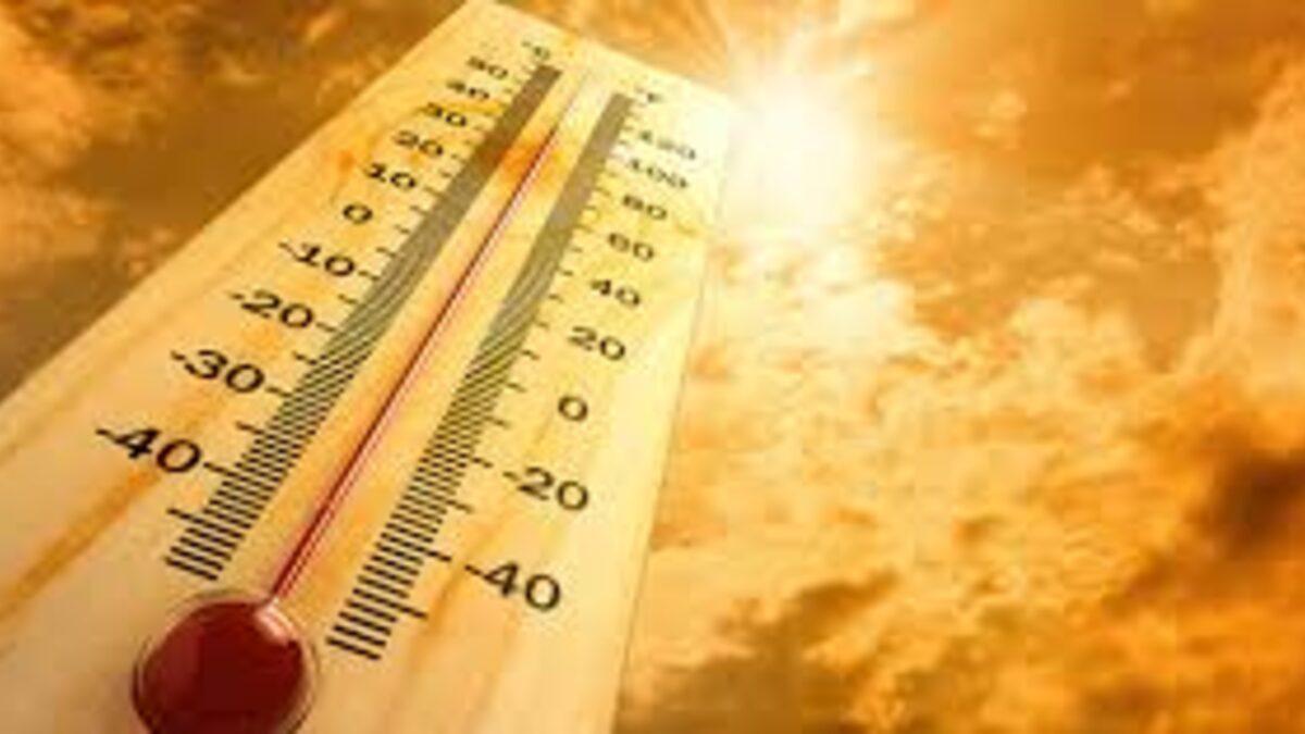 Yazın ilk sıcak hava dalgası Batı Avrupa’da alarm verdirdi