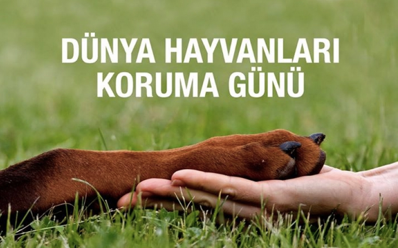 4 ekim dünya hayvanları koruma günü