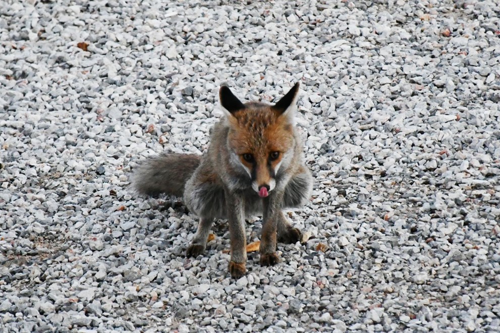 BN8duggdLEiFqjZOk-BVyA