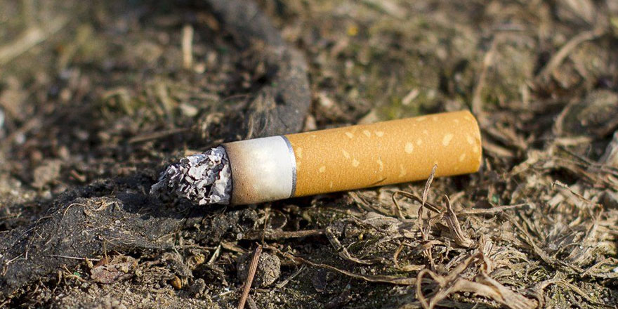 Sönmemiş sigara izmariti yangına sebep oldu