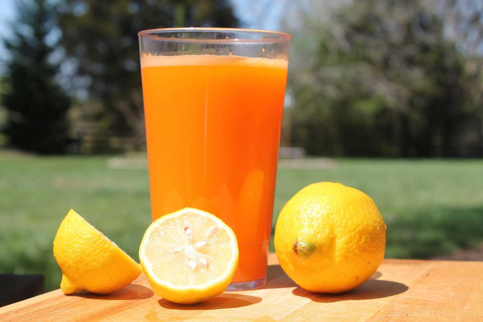 havuc-limon-armut-suyu