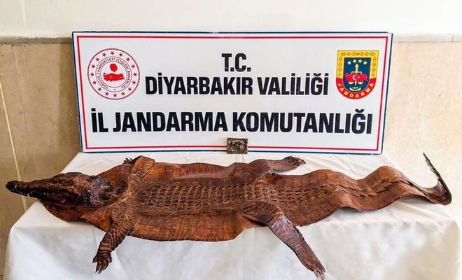 2 milyon dolarlık tarihi eser operasyonu!
