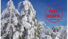Trodos’tan Yeşil Beyaz Harika Görüntüler