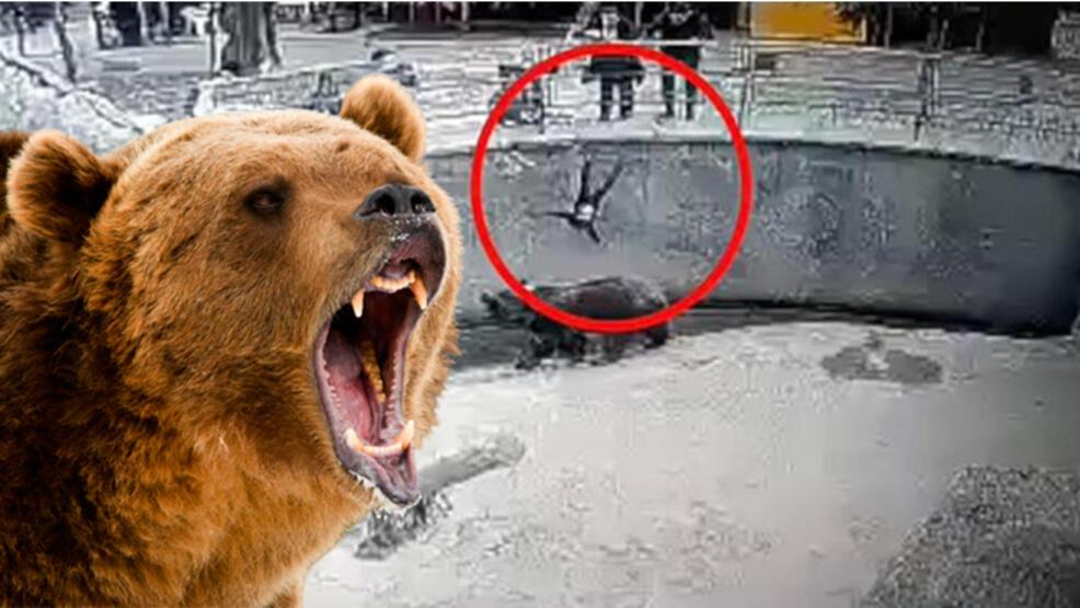 Hayvanat bahçesinde bir anne 3 yaşındaki kızını, ayının bulunduğu alana attı!