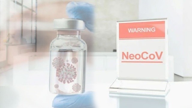 Yeni virüs NeoCov dünyayı alarma geçirdi: Uzmanlar korkuttu, DSÖ’den açıklama geldi