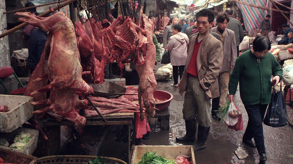 İki yeni araştırmaya göre koronavirüsün kaynağı Wuhan’daki hayvan pazarı