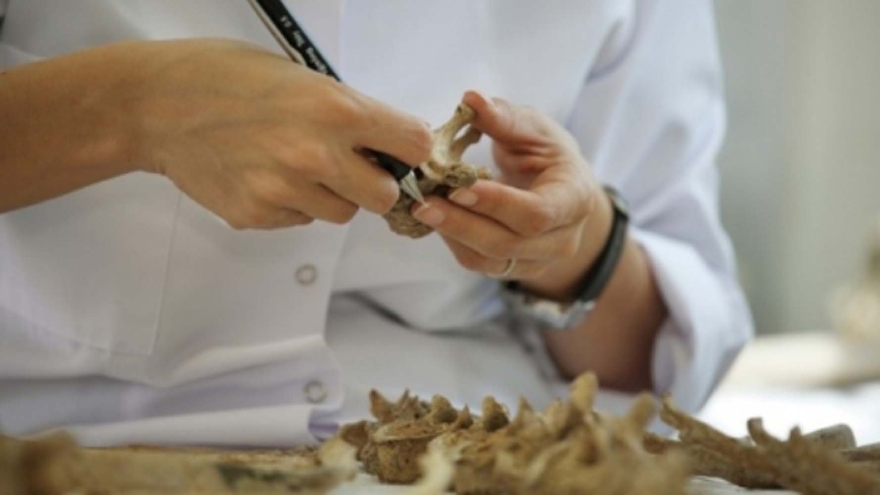 Katliam kurbanı Kıbrıslı Türklerin ayrı kabirlere nakledilmesi için Atlılar toplu mezarı açılıyor