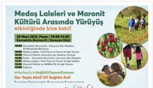 Kormacit’te Pazar günü “Medoş Laleleri ve Maronit Kültürü Arasında Yürüyüş” etkinliği düzenleniyor