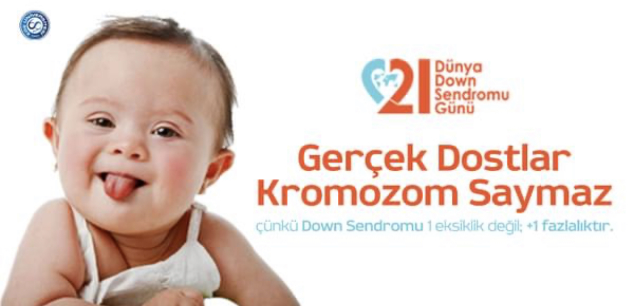FC2C903D-C97A-4C34-B277-037B22C0BEF0