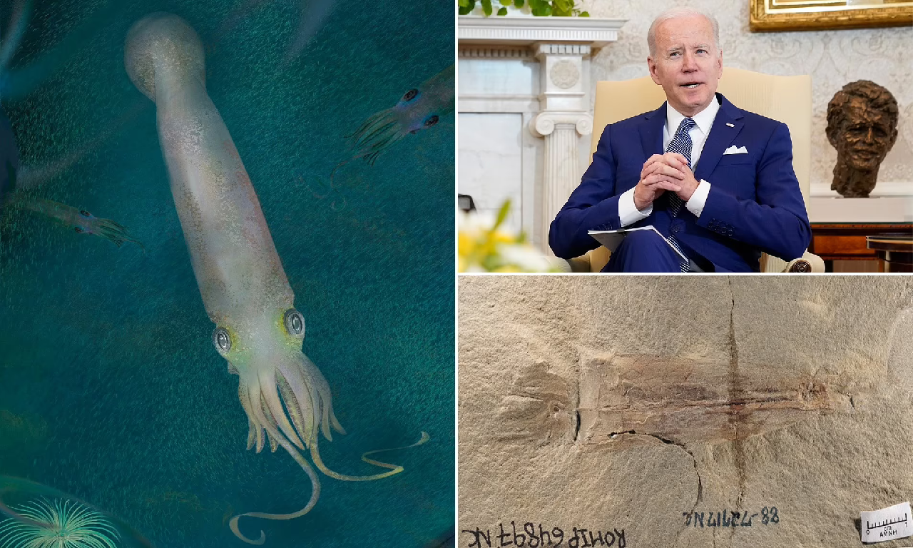 Dinozorlardan daha yaşlı, 10 kollu vampir mürekkep balığı fosiline Joe Biden adı verildi