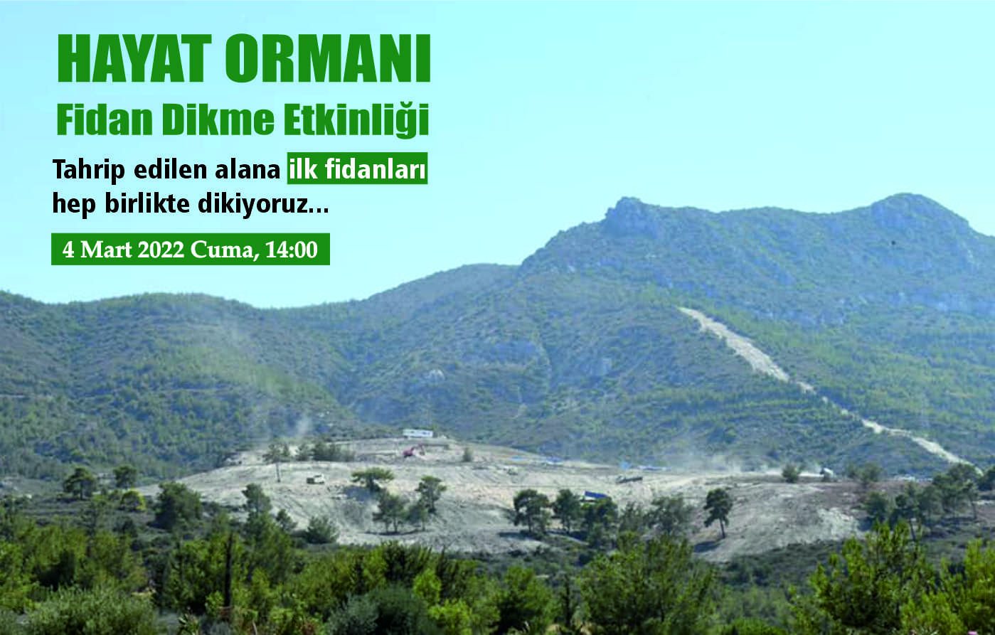 girne hayat ormanı 2