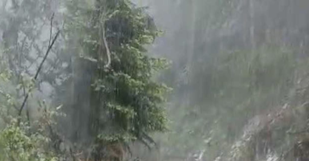 48368B1D-8EF8-4799-A781-C4CED4C644F6