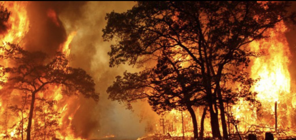 2E6C6BD5-D154-417E-A7D3-8DC93DA98973