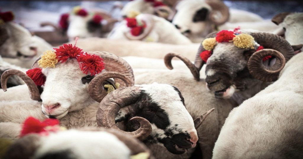 3735A567-E075-4B79-913E-7E45F4FCBCA0