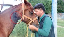 Bahçe hortumu ile ‘bypass’