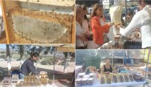İskele Belediyesi 1. Bal Festivali bugün yapılıyor