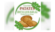 Patates Üreticileri Birliği, sanayi tipi patates üretiminin geliştirilmesinden yana olduklarını açıkladı