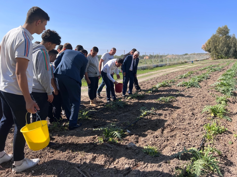 Oğuz, arıtılmış atık suyla enginar üretimi deneme alanında incelemelerde bulundu