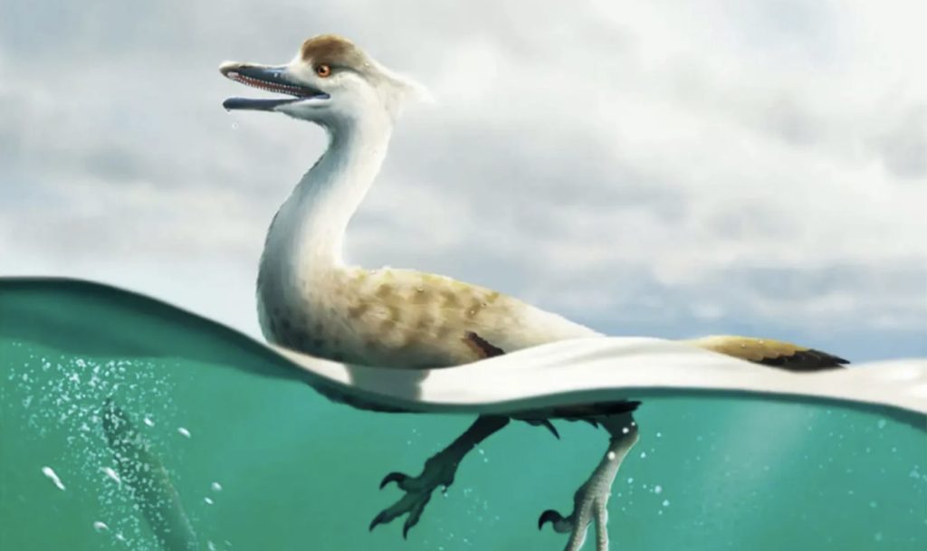 Yeni bir dinozor türü keşfedildi