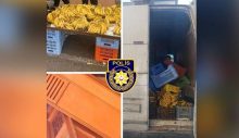 Muzları ülkeye kaçak getirdi, pazarda sattığı sırada yakalandı