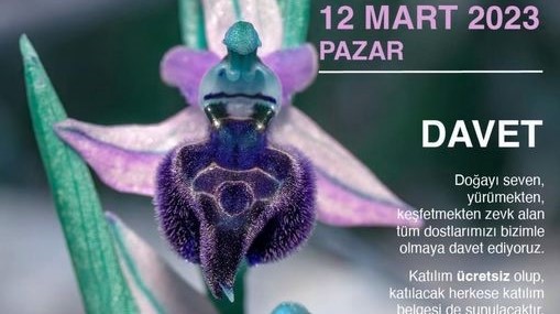 “Orkide Vadisi  Gözlem Yürüyüşü” bu hafta sonu Pazar günü yapılıyor