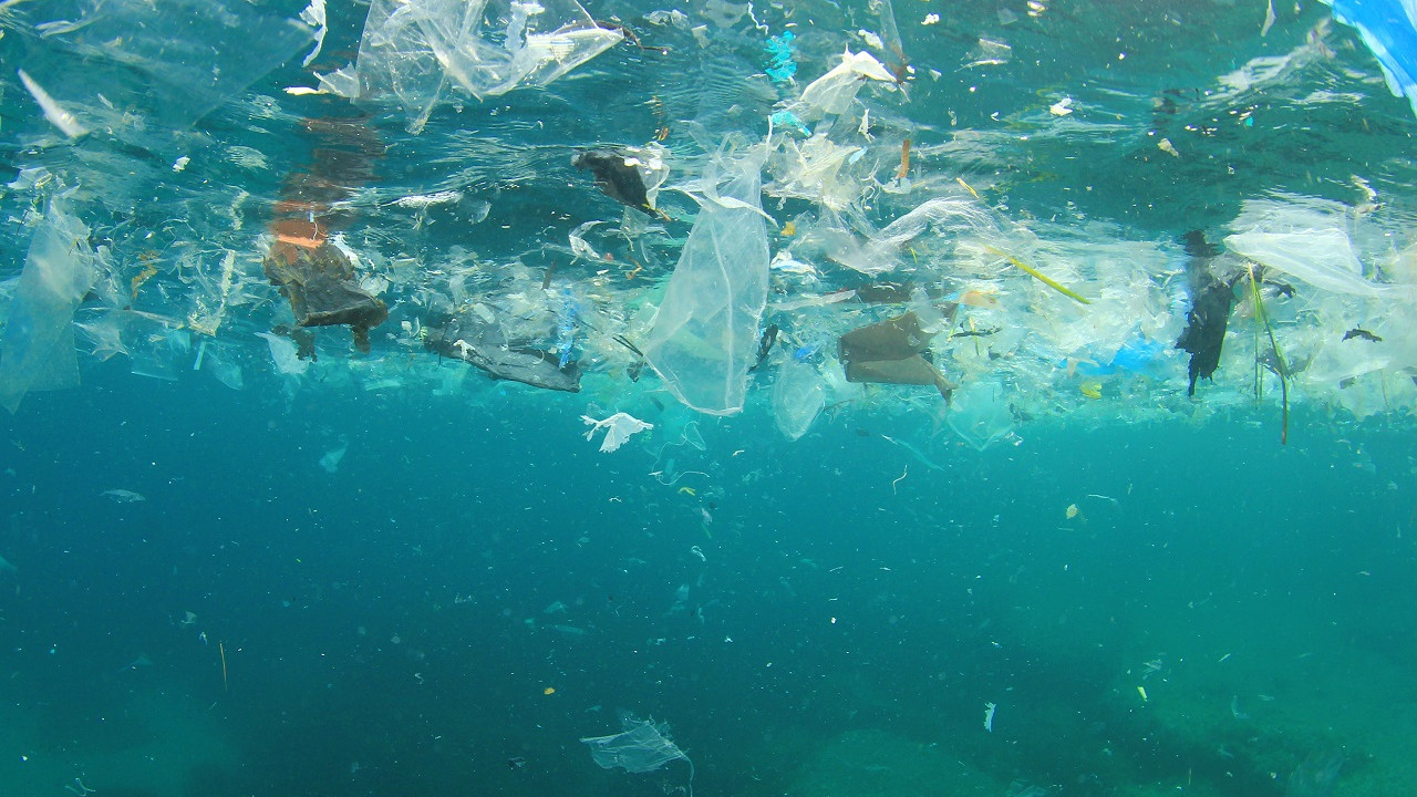 Okyanusların tamamında 171 trilyon plastik parçası olduğu tahmin ediliyor